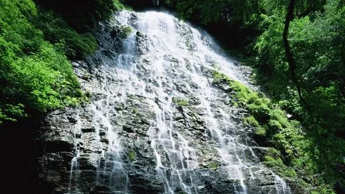 高精度数字化自动化